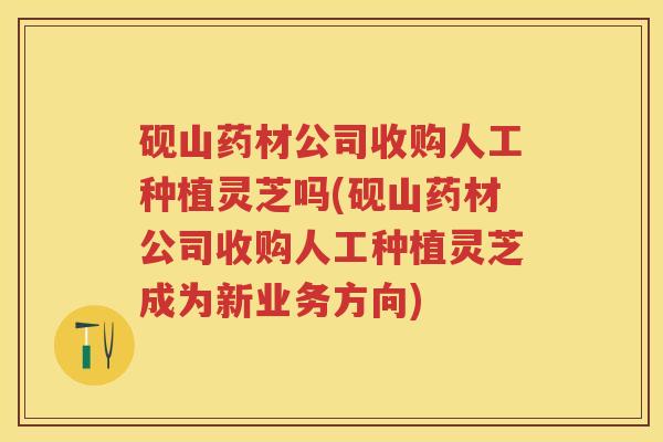 砚山药材公司收购人工种植灵芝吗(砚山药材公司收购人工种植灵芝成为新业务方向)