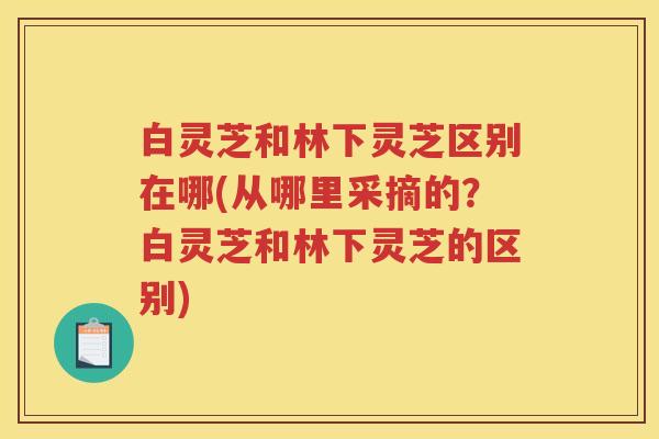 白灵芝和林下灵芝区别在哪(从哪里采摘的？白灵芝和林下灵芝的区别)