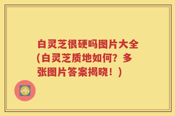 白灵芝很硬吗图片大全(白灵芝质地如何？多张图片答案揭晓！)