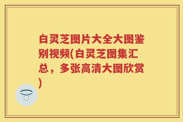 白灵芝图片大全大图鉴别视频(白灵芝图集汇总，多张高清大图欣赏)