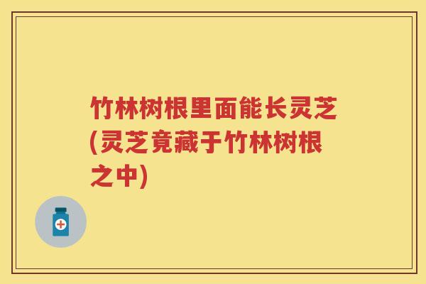 竹林树根里面能长灵芝(灵芝竟藏于竹林树根之中)