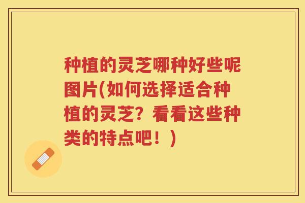种植的灵芝哪种好些呢图片(如何选择适合种植的灵芝？看看这些种类的特点吧！)