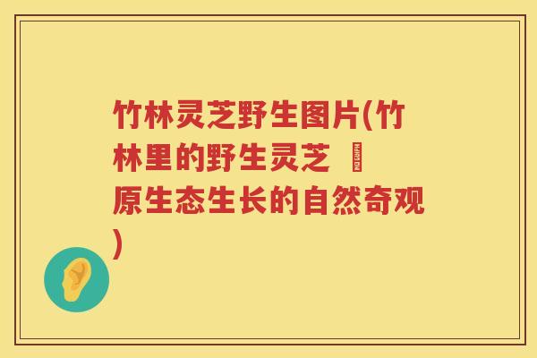 竹林灵芝野生图片(竹林里的野生灵芝 – 原生态生长的自然奇观)