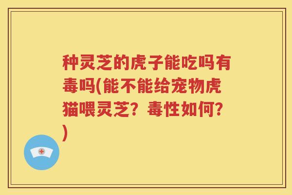 种灵芝的虎子能吃吗有毒吗(能不能给宠物虎猫喂灵芝？毒性如何？)