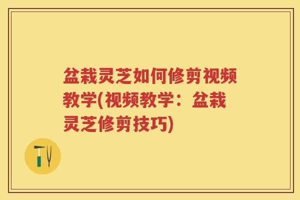 盆栽灵芝如何修剪视频教学(视频教学：盆栽灵芝修剪技巧)
