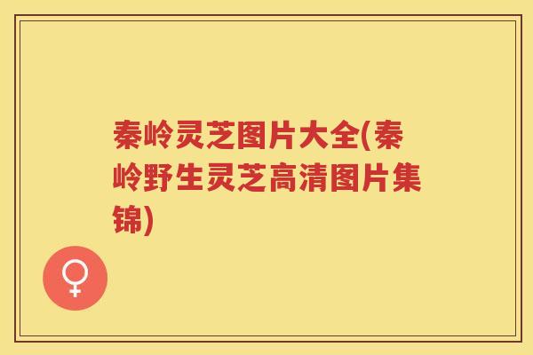 秦岭灵芝图片大全(秦岭野生灵芝高清图片集锦) 秦岭灵芝图片大全(秦岭野生灵芝高清图片集锦)