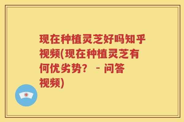 现在种植灵芝好吗知乎视频(现在种植灵芝有何优劣势？ - 问答视频)