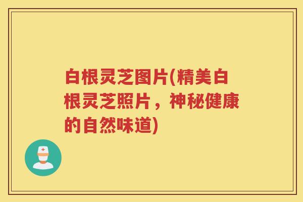 白根灵芝图片(精美白根灵芝照片，神秘健康的自然味道)