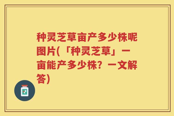 种灵芝草亩产多少株呢图片(「种灵芝草」一亩能产多少株？一文解答)