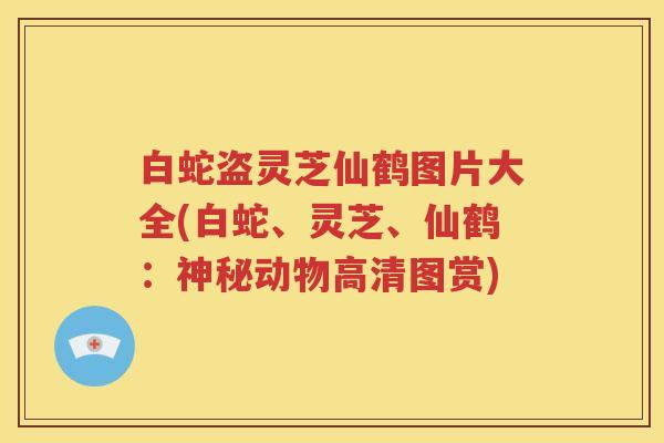 白蛇盗灵芝仙鹤图片大全(白蛇、灵芝、仙鹤：神秘动物高清图赏)