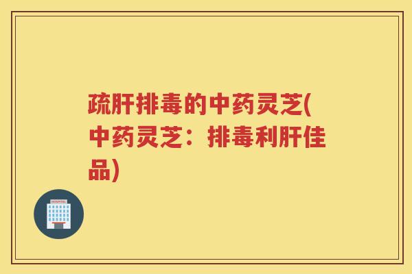 疏肝排毒的中药灵芝(中药灵芝：排毒利肝佳品)