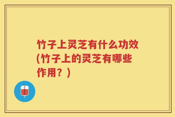 竹子上灵芝有什么功效(竹子上的灵芝有哪些作用？)