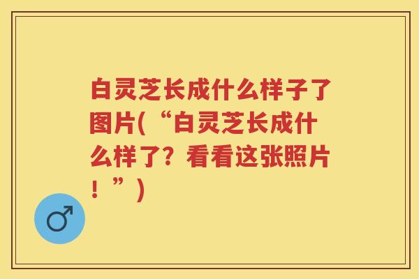 白灵芝长成什么样子了图片(“白灵芝长成什么样了？看看这张照片！”)