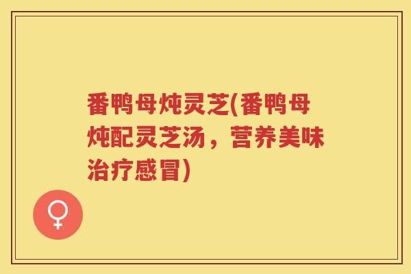 番鸭母炖灵芝(番鸭母炖配灵芝汤，营养美味治疗感冒)