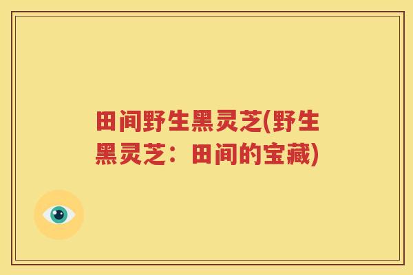 田间野生黑灵芝(野生黑灵芝：田间的宝藏)