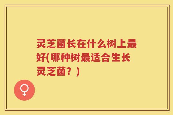 灵芝菌长在什么树上好(哪种树适合生长灵芝菌?) 灵芝菌长在什么树上好(哪种树适合生长灵芝菌?)