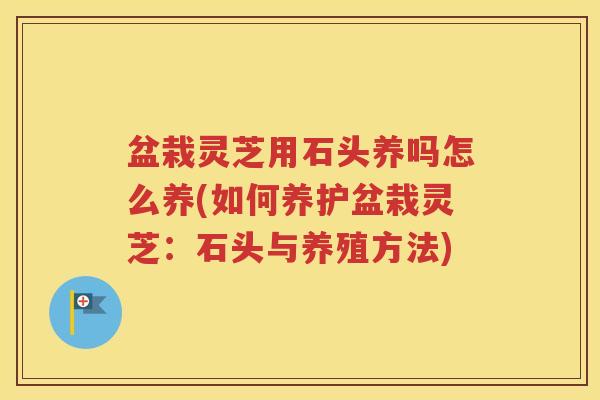 盆栽灵芝用石头养吗怎么养(如何养护盆栽灵芝：石头与养殖方法)