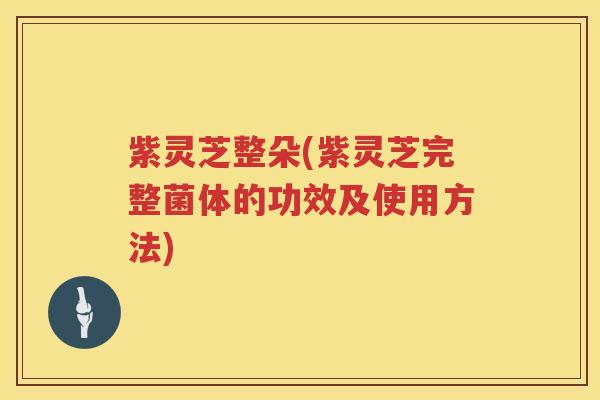 紫灵芝整朵(紫灵芝完整菌体的功效及使用方法)