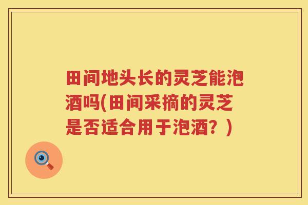 田间地头长的灵芝能泡酒吗(田间采摘的灵芝是否适合用于泡酒?) 田间地头长的灵芝能泡酒吗(田间采摘的灵芝是否适合用于泡酒?)
