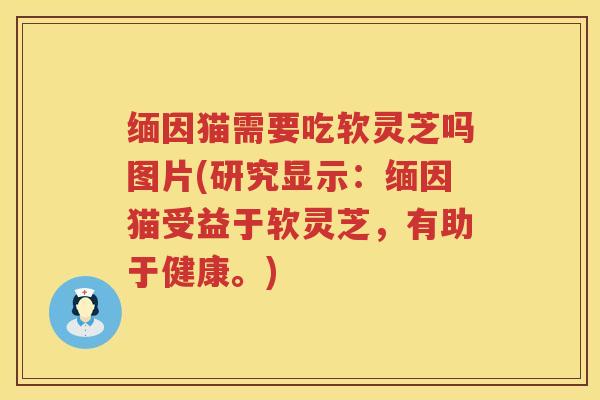 缅因猫需要吃软灵芝吗图片(研究显示：缅因猫受益于软灵芝，有助于健康。)