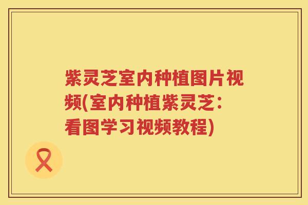 紫灵芝室内种植图片视频(室内种植紫灵芝：看图学习视频教程)