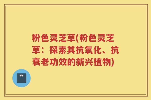 粉色灵芝草(粉色灵芝草：探索其抗氧化、抗衰老功效的新兴植物)