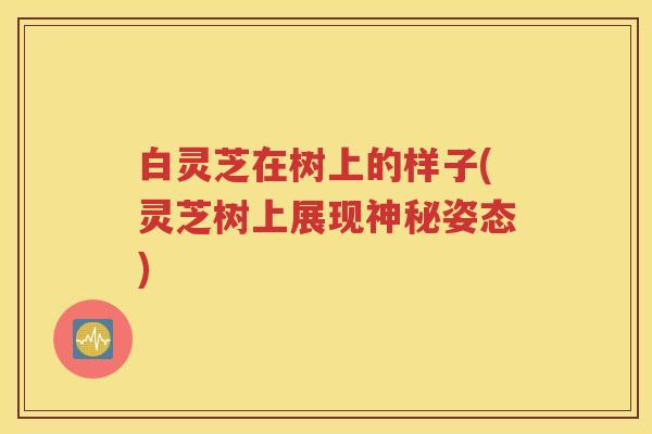 白灵芝在树上的样子(灵芝树上展现神秘姿态)