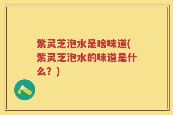 紫灵芝泡水是啥味道(紫灵芝泡水的味道是什么？)