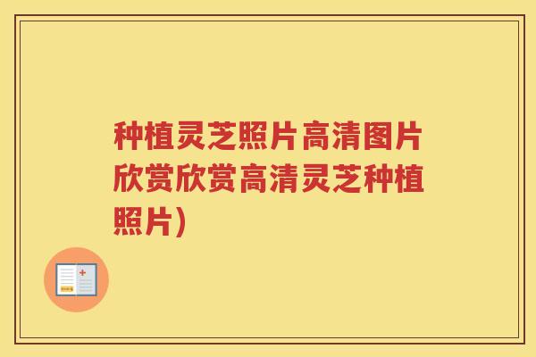 种植灵芝照片高清图片欣赏欣赏高清灵芝种植照片)