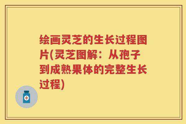 绘画灵芝的生长过程图片(灵芝图解：从孢子到成熟果体的完整生长过程)