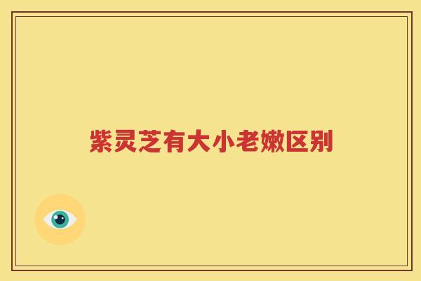紫灵芝有大小老嫩区别