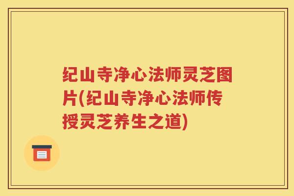 纪山寺净心法师灵芝图片(纪山寺净心法师传授灵芝养生之道)