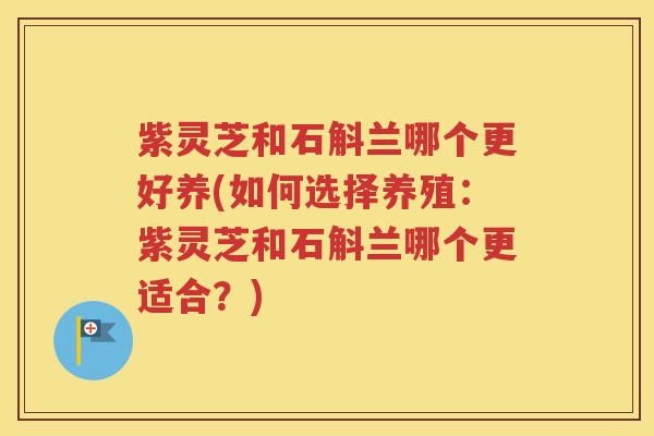 紫灵芝和石斛兰哪个更好养(如何选择养殖:紫灵芝和石斛兰哪个更适合?) 紫灵芝和石斛兰哪个更好养(如何选择养殖:紫灵芝和石斛兰哪个更适合?)