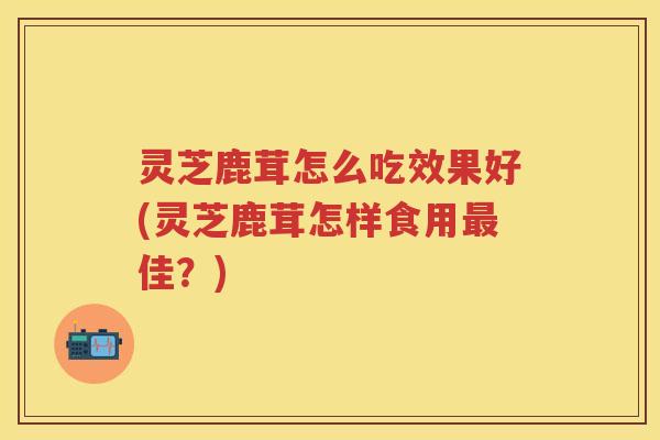 灵芝鹿茸怎么吃效果好(灵芝鹿茸怎样食用最佳？)