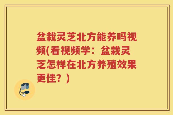 盆栽灵芝北方能养吗视频(看视频学:盆栽灵芝怎样在北方养殖效果更佳?) 盆栽灵芝北方能养吗视频(看视频学:盆栽灵芝怎样在北方养殖效果更佳?)