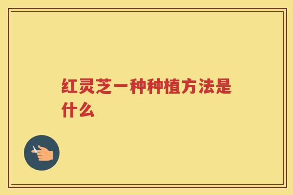 红灵芝一种种植方法是什么