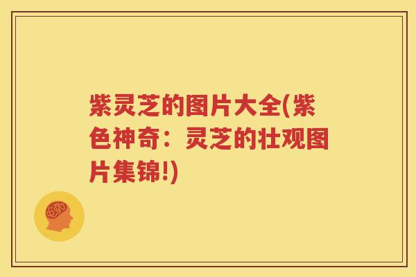 紫灵芝的图片大全(紫色神奇：灵芝的壮观图片集锦!)