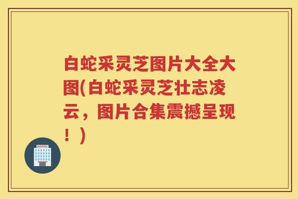 白蛇采灵芝图片大全大图(白蛇采灵芝壮志凌云，图片合集震撼呈现！)