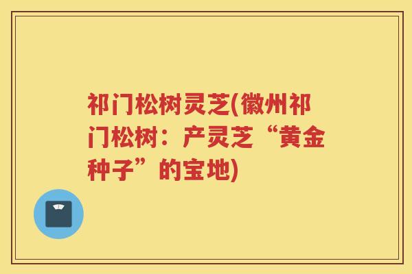 祁门松树灵芝(徽州祁门松树:产灵芝“黄金种子”的宝地) 祁门松树灵芝(徽州祁门松树:产灵芝“黄金种子”的宝地)