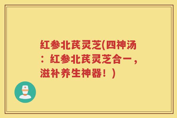 红参北芪灵芝(四神汤：红参北芪灵芝合一，滋补养生神器！)