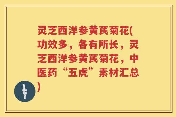 灵芝西洋参黄芪菊花(功效多，各有所长，灵芝西洋参黄芪菊花，中医药“五虎”素材汇总)