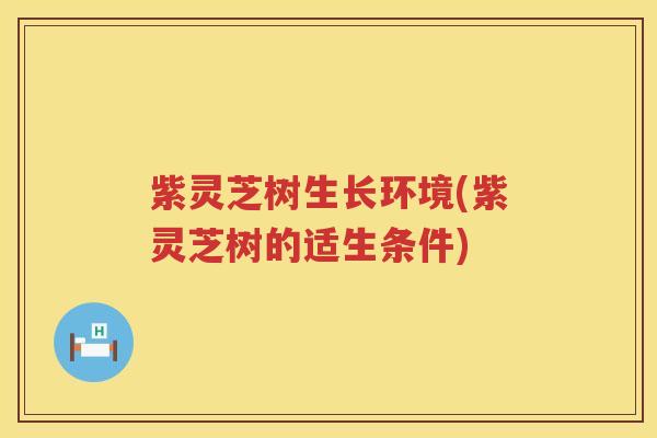 紫灵芝树生长环境(紫灵芝树的适生条件)