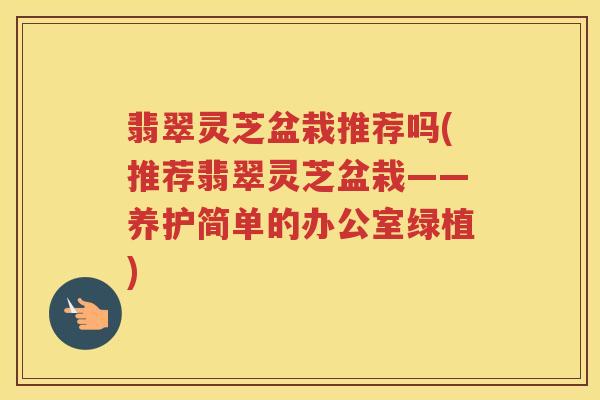翡翠灵芝盆栽推荐吗(推荐翡翠灵芝盆栽——养护简单的办公室绿植)