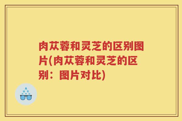 肉苁蓉和灵芝的区别图片(肉苁蓉和灵芝的区别：图片对比)