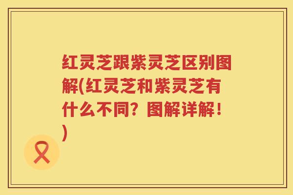 红灵芝跟紫灵芝区别图解(红灵芝和紫灵芝有什么不同？图解详解！)