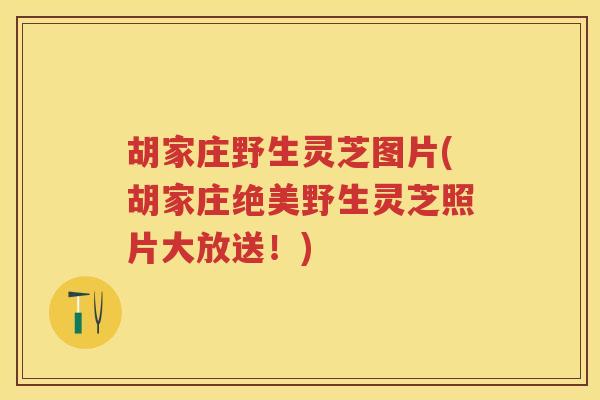 胡家庄野生灵芝图片(胡家庄绝美野生灵芝照片大放送！)