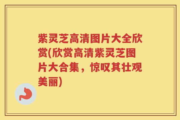 紫灵芝高清图片大全欣赏(欣赏高清紫灵芝图片大合集，惊叹其壮观美丽)