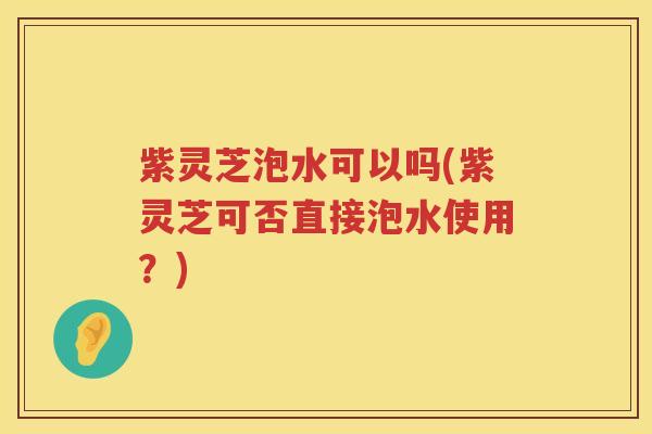 紫灵芝泡水可以吗(紫灵芝可否直接泡水使用？)