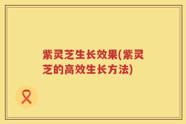 紫灵芝生长效果(紫灵芝的高效生长方法)