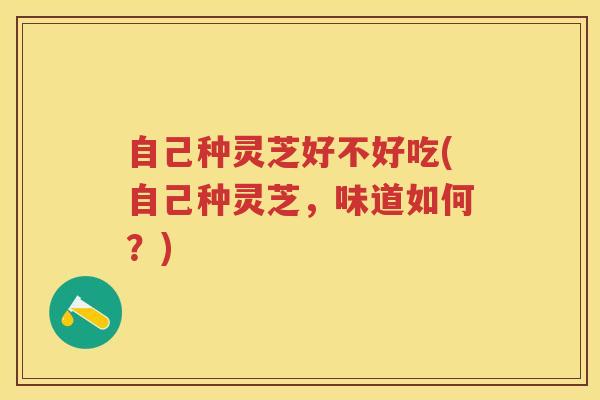 自己种灵芝好不好吃(自己种灵芝，味道如何？)